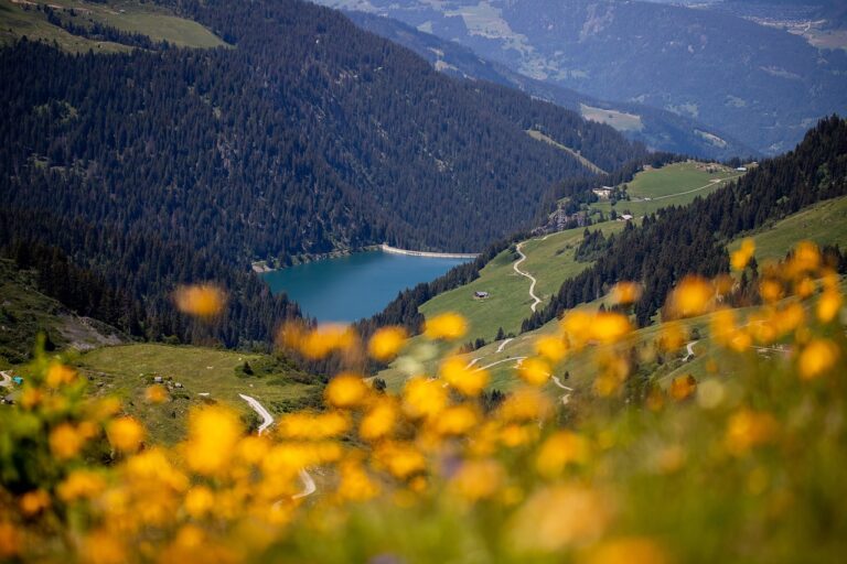 La Savoie, un paradis pour les randonneurs en quête de panoramas à couper le souffle